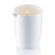 Babor Baborganic Wellness Candle - 10.56 oz Babor Baborganic Wellness Candle - 10.56 oz